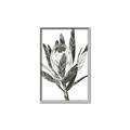 Picture of Spring Magnolia Blossoms _GroupedProduct_Rectangle_Portrait_Canvas_Framed_