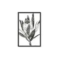 Picture of Spring Magnolia Blossoms _GroupedProduct_Rectangle_Portrait_Canvas_Framed_