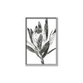 Picture of Spring Magnolia Blossoms _GroupedProduct_Rectangle_Portrait_Canvas_Framed_