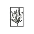 Picture of Spring Magnolia Blossoms _GroupedProduct_Rectangle_Portrait_Canvas_Framed_