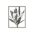 Picture of Spring Magnolia Blossoms _GroupedProduct_Rectangle_Portrait_Canvas_Framed_