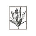 Picture of Spring Magnolia Blossoms _GroupedProduct_Rectangle_Portrait_Canvas_Framed_