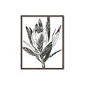 Picture of Spring Magnolia Blossoms _GroupedProduct_Rectangle_Portrait_Canvas_Framed_