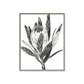 Picture of Spring Magnolia Blossoms _GroupedProduct_Rectangle_Portrait_Canvas_Framed_