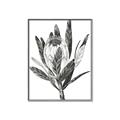 Picture of Spring Magnolia Blossoms _GroupedProduct_Rectangle_Portrait_Canvas_Framed_