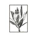 Picture of Spring Magnolia Blossoms _GroupedProduct_Rectangle_Portrait_Canvas_Framed_