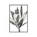 Picture of Spring Magnolia Blossoms _GroupedProduct_Rectangle_Portrait_Canvas_Framed_