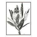 Picture of Spring Magnolia Blossoms _GroupedProduct_Rectangle_Portrait_Canvas_Framed_