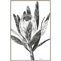 Picture of Spring Magnolia Blossoms _GroupedProduct_Rectangle_Portrait_Canvas_Framed_