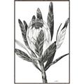 Picture of Spring Magnolia Blossoms _GroupedProduct_Rectangle_Portrait_Canvas_Framed_