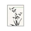 Picture of Rowan Tree _GroupedProduct_Rectangle_Portrait_Canvas_Framed_