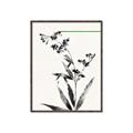 Picture of Rowan Tree _GroupedProduct_Rectangle_Portrait_Canvas_Framed_