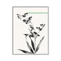 Picture of Rowan Tree _GroupedProduct_Rectangle_Portrait_Canvas_Framed_