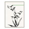 Picture of Rowan Tree _GroupedProduct_Rectangle_Portrait_Canvas_Framed_