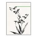 Picture of Rowan Tree _GroupedProduct_Rectangle_Portrait_Canvas_Framed_