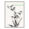 Picture of Rowan Tree _GroupedProduct_Rectangle_Portrait_Canvas_Framed_