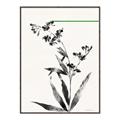 Picture of Rowan Tree _GroupedProduct_Rectangle_Portrait_Canvas_Framed_