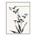 Picture of Rowan Tree _GroupedProduct_Rectangle_Portrait_Canvas_Framed_