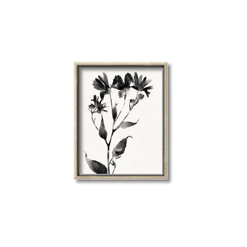 Picture of Black flower II (Ink border black ) _GroupedProduct_Rectangle_Portrait_Canvas_Framed_