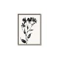 Picture of Black flower II (Ink border black ) _GroupedProduct_Rectangle_Portrait_Canvas_Framed_