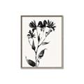 Picture of Black flower II (Ink border black ) _GroupedProduct_Rectangle_Portrait_Canvas_Framed_