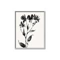 Picture of Black flower II (Ink border black ) _GroupedProduct_Rectangle_Portrait_Canvas_Framed_