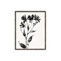 Picture of Black flower II (Ink border black ) _GroupedProduct_Rectangle_Portrait_Canvas_Framed_