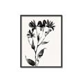 Picture of Black flower II (Ink border black ) _GroupedProduct_Rectangle_Portrait_Canvas_Framed_