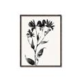 Picture of Black flower II (Ink border black ) _GroupedProduct_Rectangle_Portrait_Canvas_Framed_