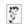 Picture of Black flower II (Ink border black ) _GroupedProduct_Rectangle_Portrait_Canvas_Framed_