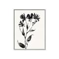 Picture of Black flower II (Ink border black ) _GroupedProduct_Rectangle_Portrait_Canvas_Framed_