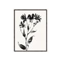 Picture of Black flower II (Ink border black ) _GroupedProduct_Rectangle_Portrait_Canvas_Framed_