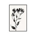 Picture of Black flower II (Ink border black ) _GroupedProduct_Rectangle_Portrait_Canvas_Framed_