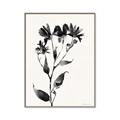 Picture of Black flower II (Ink border black ) _GroupedProduct_Rectangle_Portrait_Canvas_Framed_