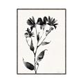 Picture of Black flower II (Ink border black ) _GroupedProduct_Rectangle_Portrait_Canvas_Framed_