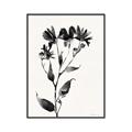 Picture of Black flower II (Ink border black ) _GroupedProduct_Rectangle_Portrait_Canvas_Framed_