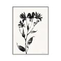 Picture of Black flower II (Ink border black ) _GroupedProduct_Rectangle_Portrait_Canvas_Framed_