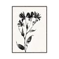 Picture of Black flower II (Ink border black ) _GroupedProduct_Rectangle_Portrait_Canvas_Framed_
