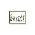Picture of Pots with plants _GroupedProduct_Rectangle_Landscape_Canvas_Framed_