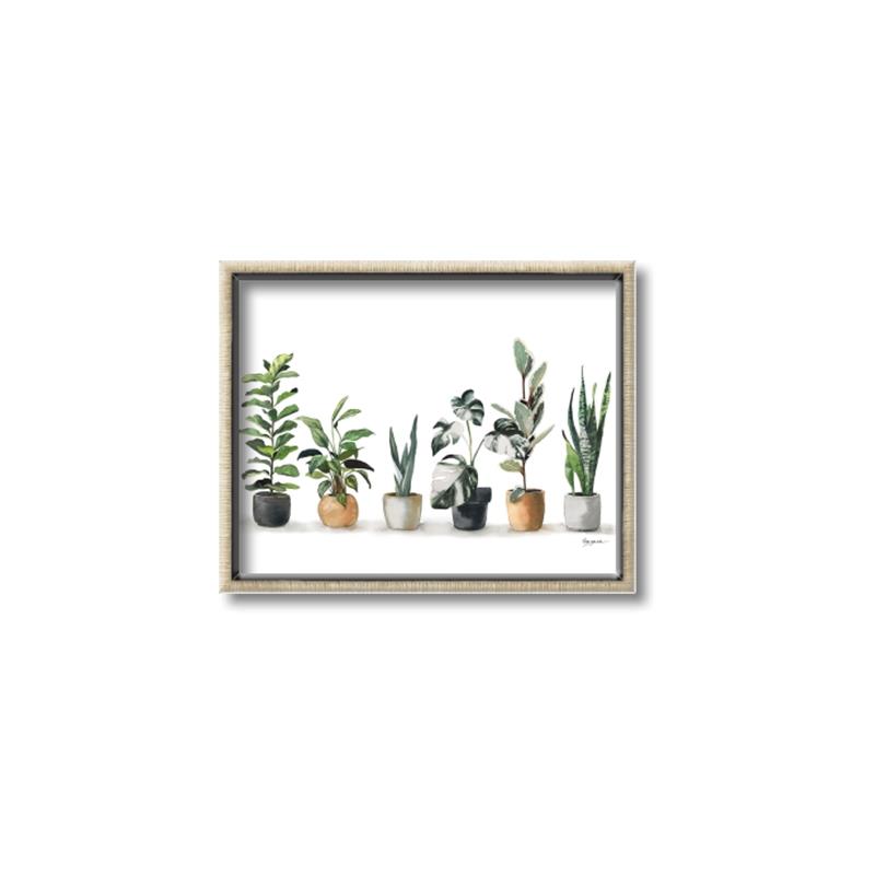 Picture of Pots with plants _GroupedProduct_Rectangle_Landscape_Canvas_Framed_