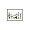 Picture of Pots with plants _GroupedProduct_Rectangle_Landscape_Canvas_Framed_