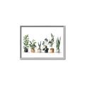Picture of Pots with plants _GroupedProduct_Rectangle_Landscape_Canvas_Framed_