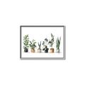 Picture of Pots with plants _GroupedProduct_Rectangle_Landscape_Canvas_Framed_