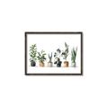 Picture of Pots with plants _GroupedProduct_Rectangle_Landscape_Canvas_Framed_