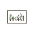Picture of Pots with plants _GroupedProduct_Rectangle_Landscape_Canvas_Framed_