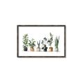 Picture of Pots with plants _GroupedProduct_Rectangle_Landscape_Canvas_Framed_