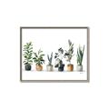 Picture of Pots with plants _GroupedProduct_Rectangle_Landscape_Canvas_Framed_