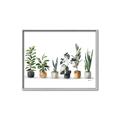 Picture of Pots with plants _GroupedProduct_Rectangle_Landscape_Canvas_Framed_
