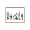 Picture of Pots with plants _GroupedProduct_Rectangle_Landscape_Canvas_Framed_