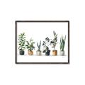 Picture of Pots with plants _GroupedProduct_Rectangle_Landscape_Canvas_Framed_